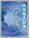 灵魂之枪